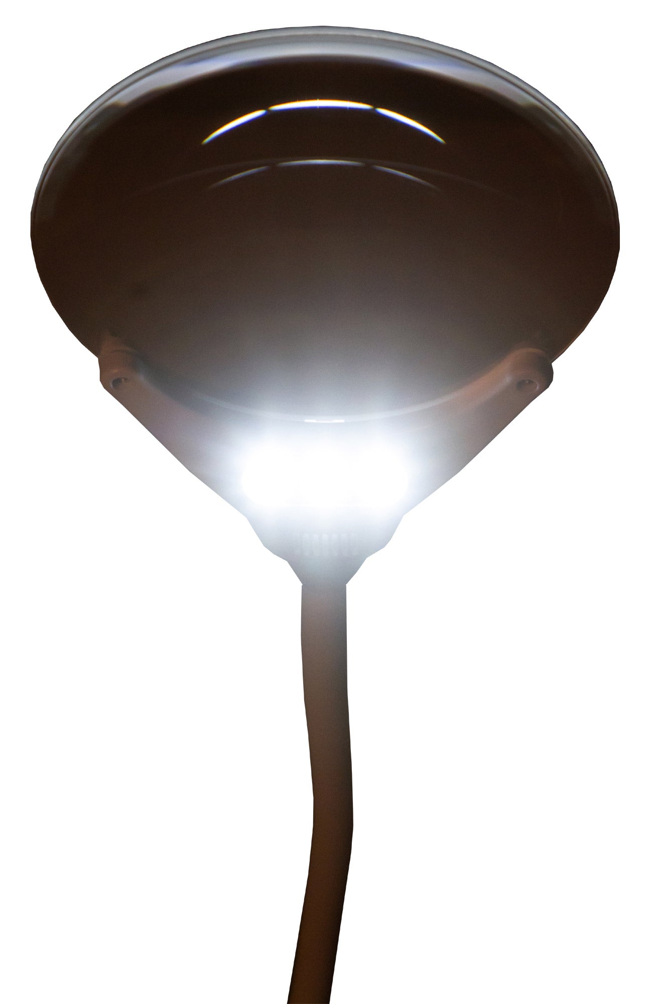Lente d’ingrandimento Levenhuk Zeno Lamp ZL7