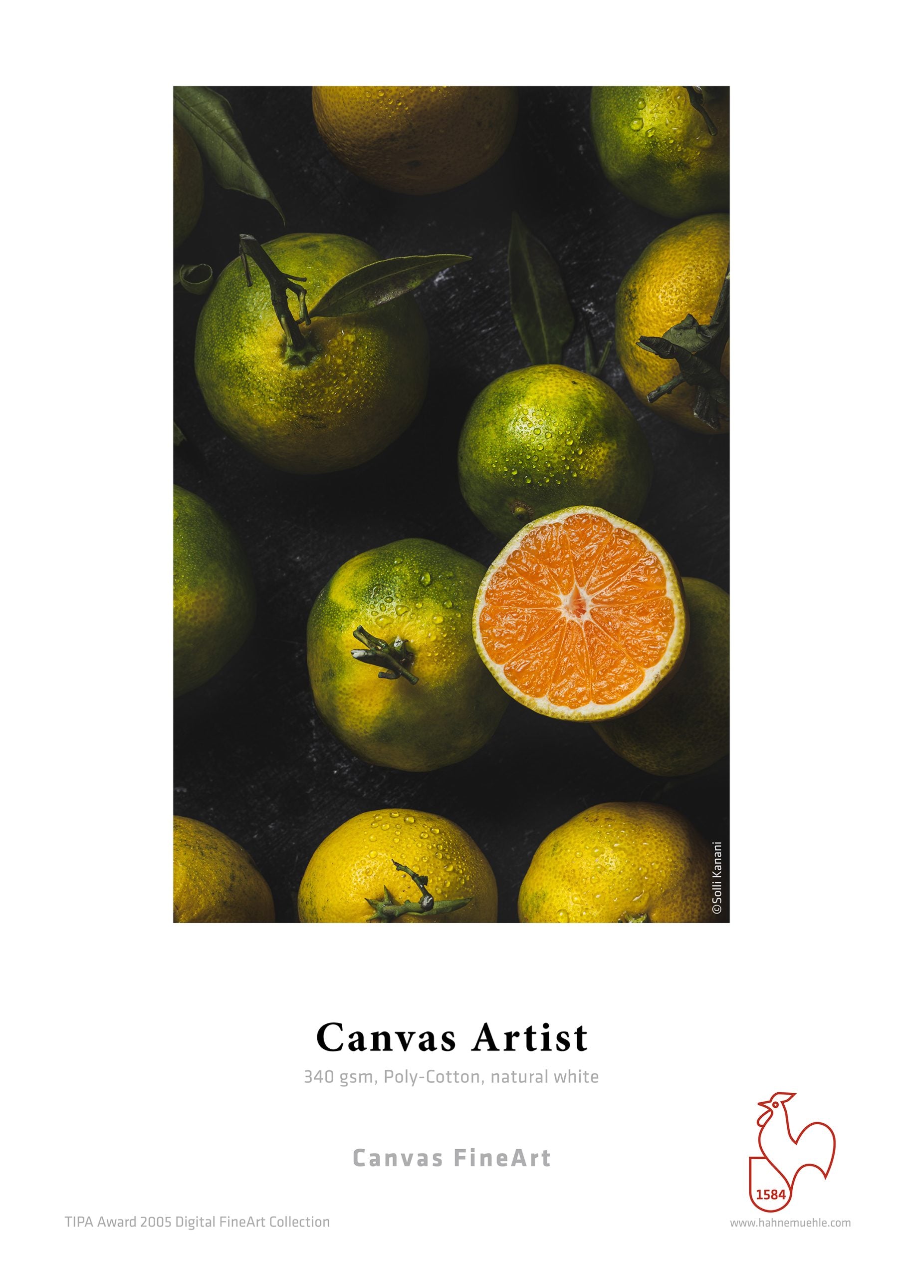 Hahnemuhle Canvas Artist gr340  cm61x12m