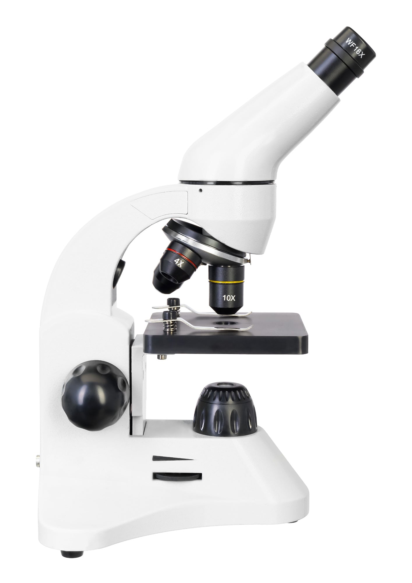 Microscopio digitale Levenhuk Rainbow D50L PLUS 2M, moonstone