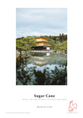 Hahnemuhle Sugar Cane gr300  cm61x12m