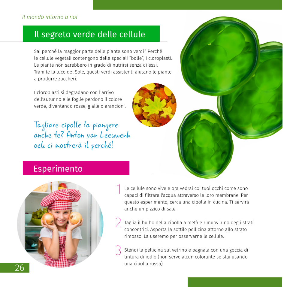 Microscopio Discovery Atto Polar con libro