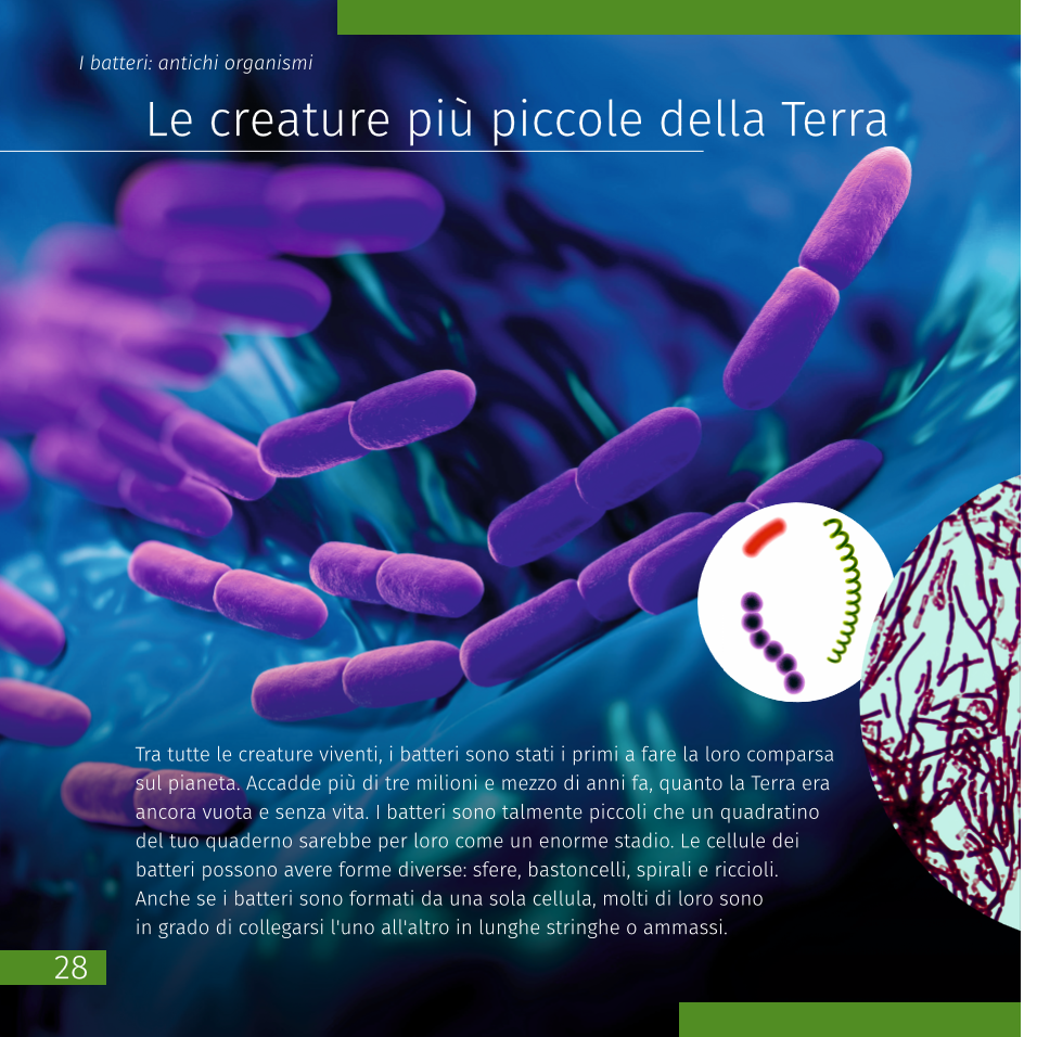 Mondo invisibile. Libro educativo. Copertina rigida