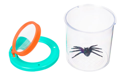 Barattolo per insetti Discovery Basics CN5