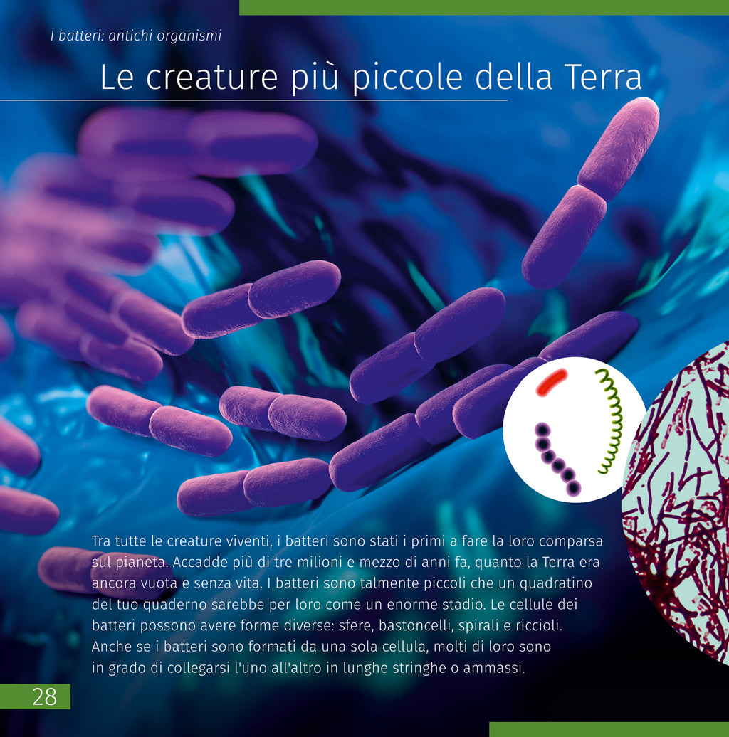 Spazio. Microcosmo. Libro educativo in 2 volumi