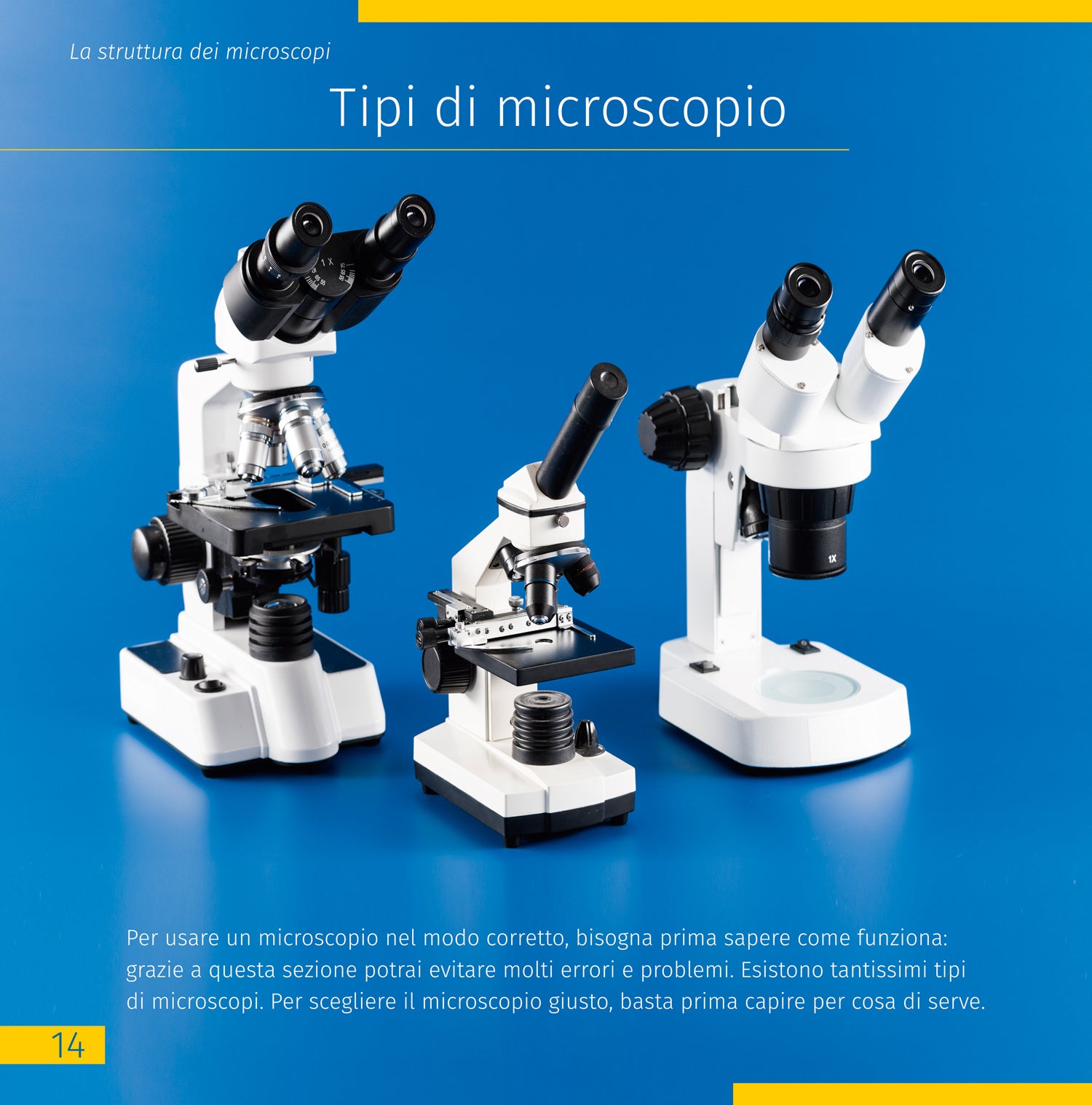 Mondo invisibile. Libro educativo