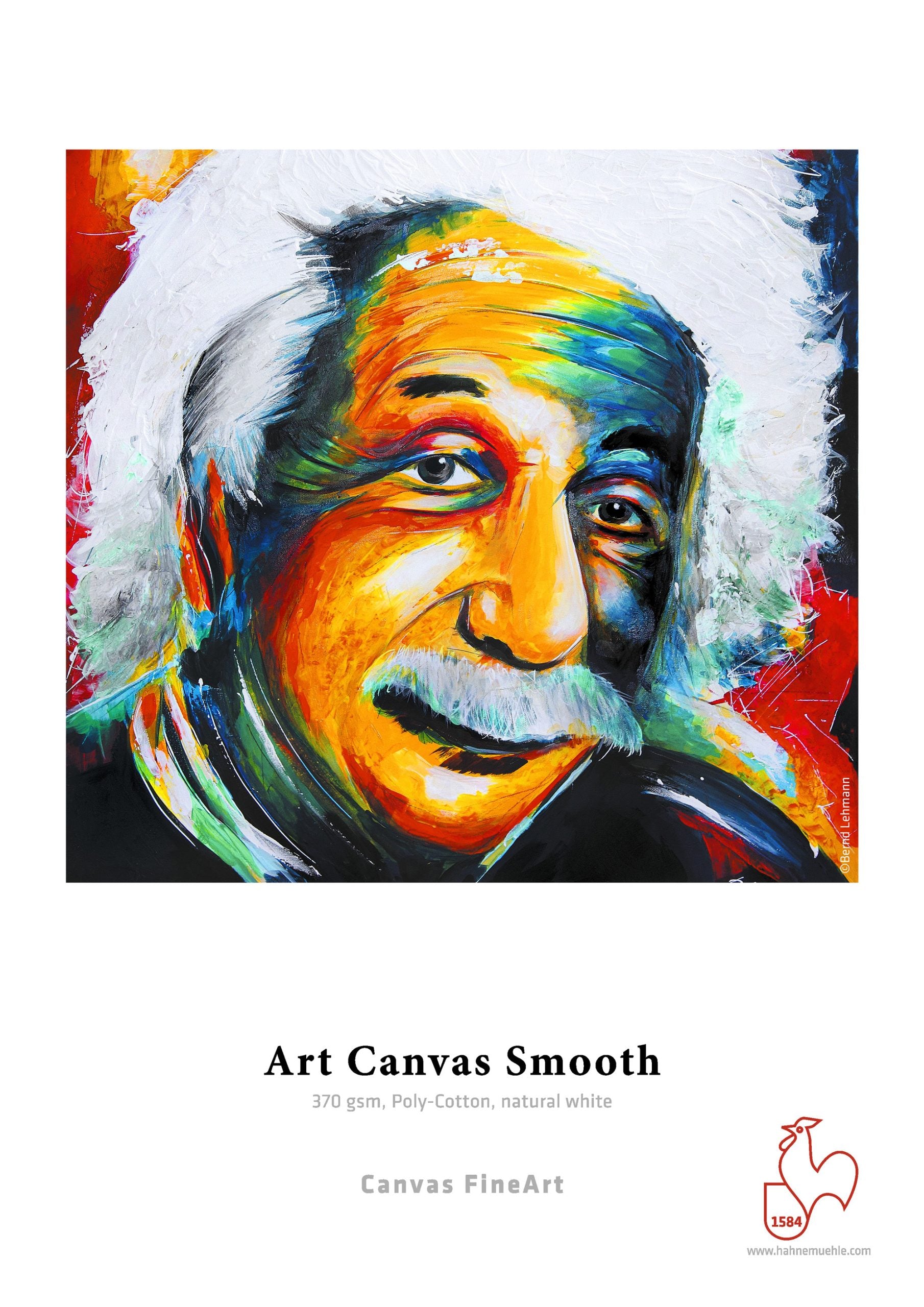 Hahnemuhle Art Canvas Smooth gr370 cm112x12m