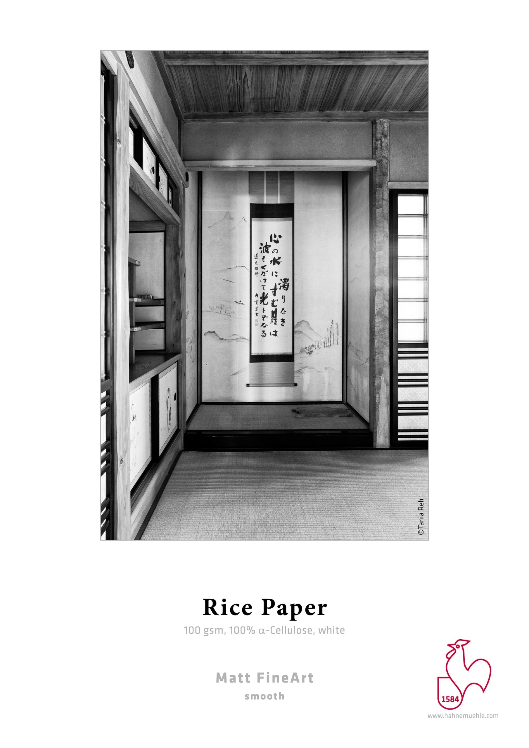Hahnemuhle Rice Paper gr100  cm91x30m