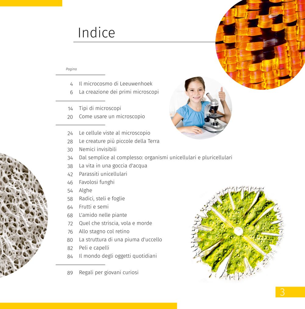 Microscopio Discovery Centi 02 con libro