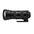 Sigma 150-600mm f/5-6.3 DG OS HSM C x Canon EF